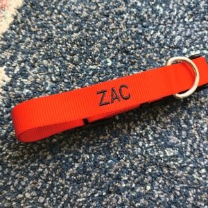 L. L. Bean dog collar